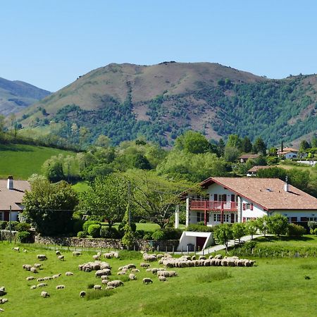 Baskoparadis I Eco-Gites I Calme I Vue I Anes I Jardin I Montagne I Nature Louhossoa Zewnętrze zdjęcie