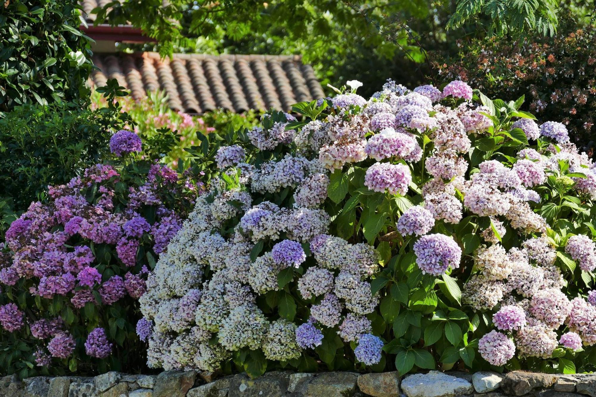 Baskoparadis I Eco-Gites I Calme I Vue I Anes I Jardin I Montagne I Nature Louhossoa Zewnętrze zdjęcie