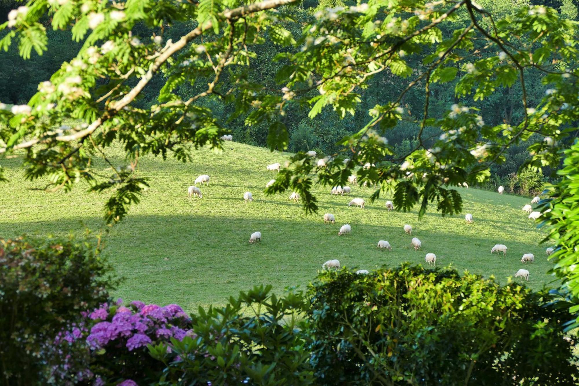 Baskoparadis I Eco-Gites I Calme I Vue I Anes I Jardin I Montagne I Nature Louhossoa Zewnętrze zdjęcie