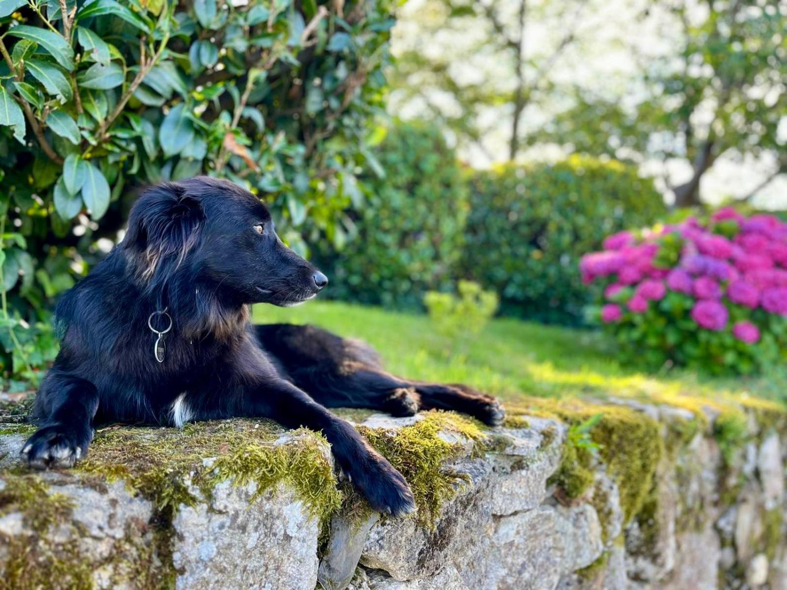 Baskoparadis I Eco-Gites I Calme I Vue I Anes I Jardin I Montagne I Nature Louhossoa Zewnętrze zdjęcie
