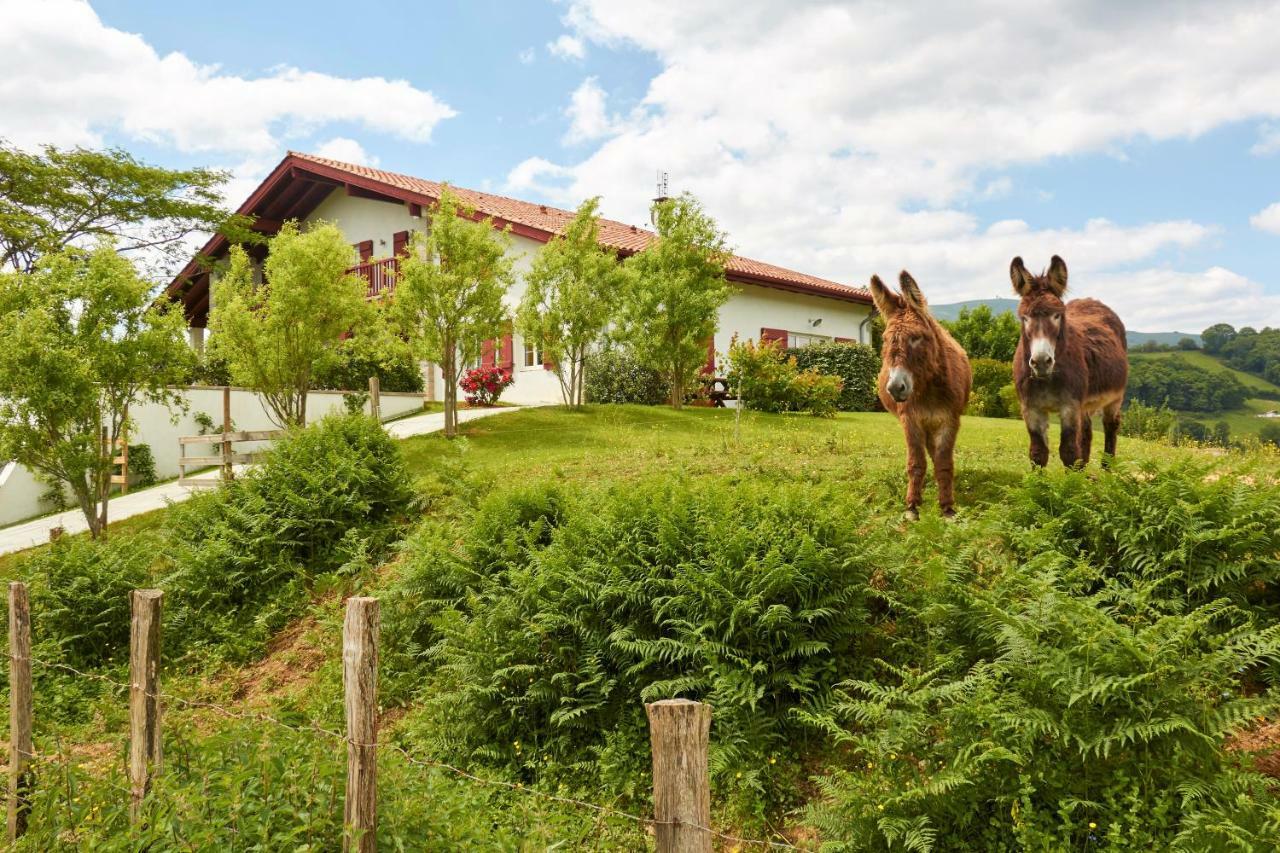 Baskoparadis I Eco-Gites I Calme I Vue I Anes I Jardin I Montagne I Nature Louhossoa Zewnętrze zdjęcie
