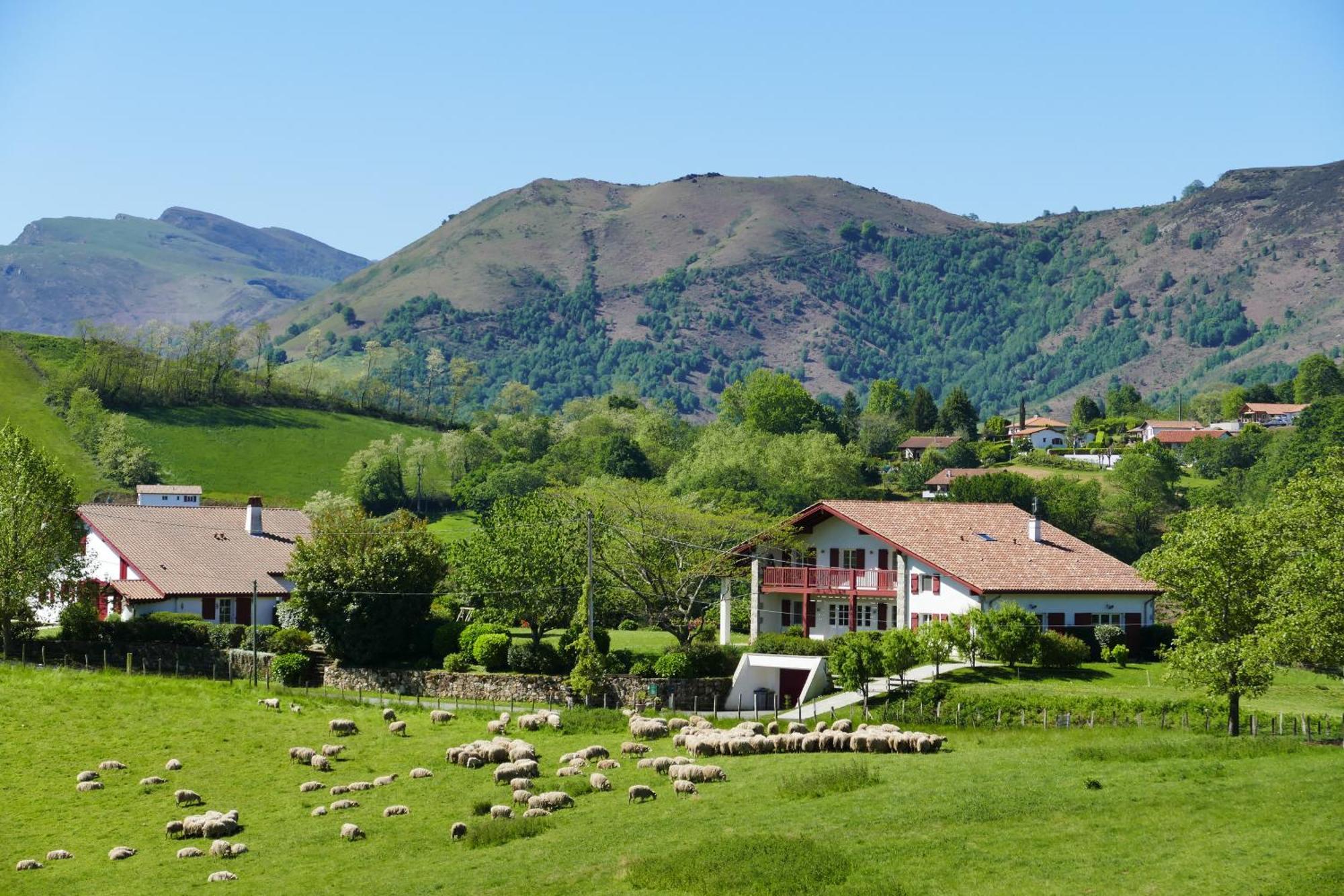 Baskoparadis I Eco-Gites I Calme I Vue I Anes I Jardin I Montagne I Nature Louhossoa Zewnętrze zdjęcie